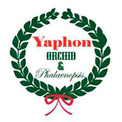 Yaphon