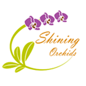 Shiningorchids