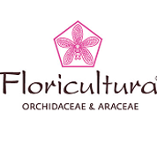 Florikultura